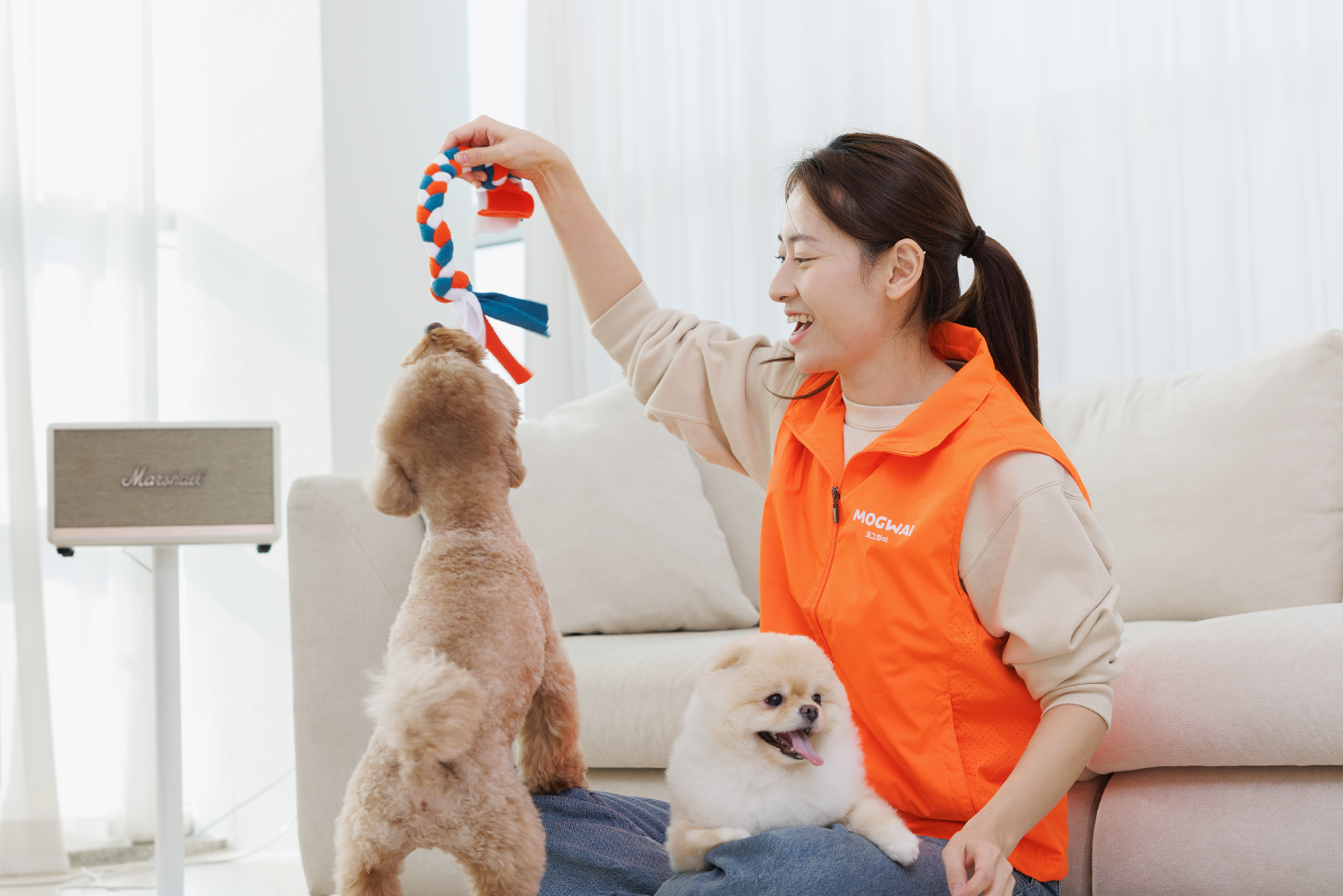 반려견 실내 돌봄 이미지