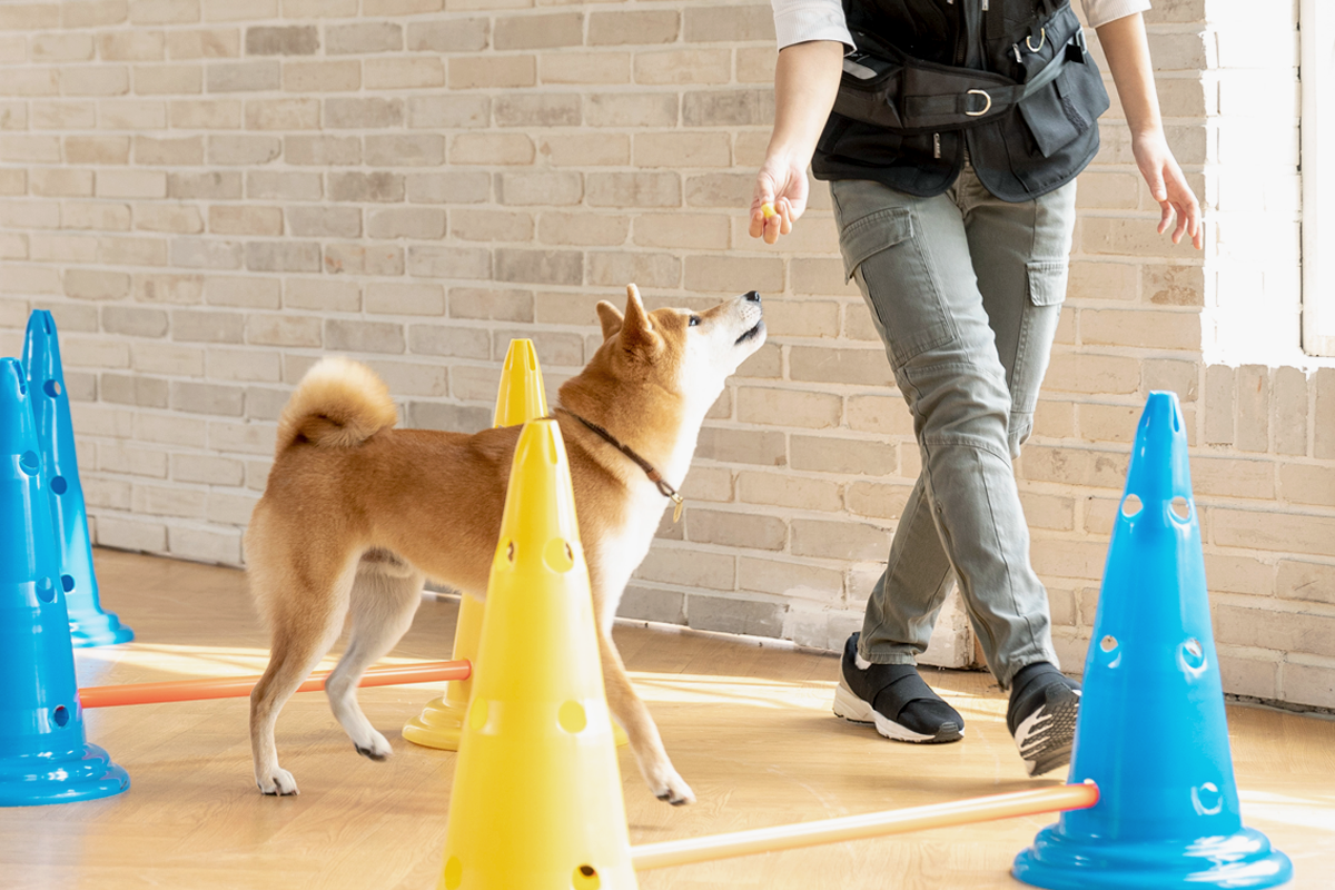 기업·기관 프로그램