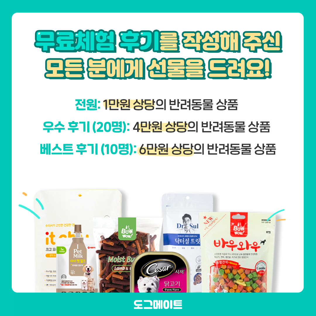 방문펫시터