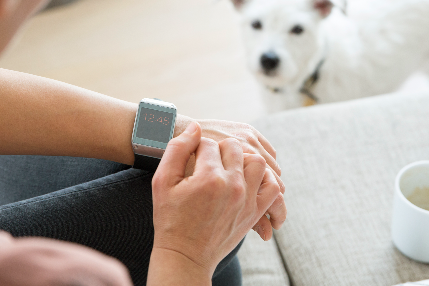 원하는 시간, 지역에서 활동 이미지